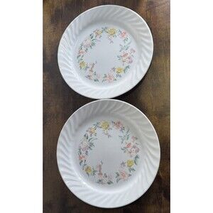 Vintage Corelle Microwave Safe Glass Plate, Discontinued Rosemarie Set Of 2